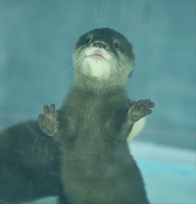 お口を開けて寝るつくしちゃん