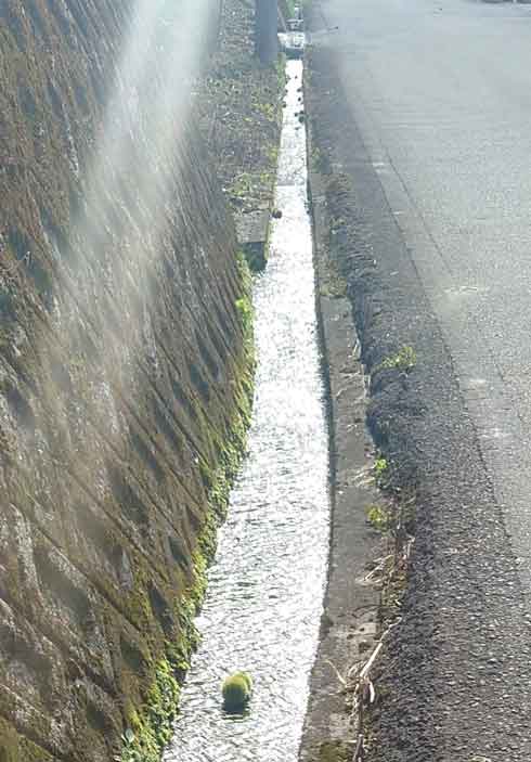 火中の栗 対義語 風景 反対 水上 栗