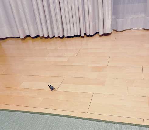 床 虫 落ちてる 松崎しげる フィギュア 見間違え