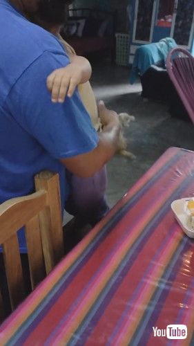 「Daughter Surprised by Dad at Birthday || ViralHog」