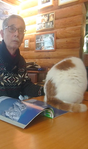 かがむ猫ちゃんの後ろ姿