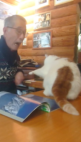 パンチする猫と驚くお父さん
