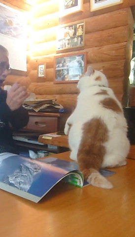 後ろにさがるお父さん