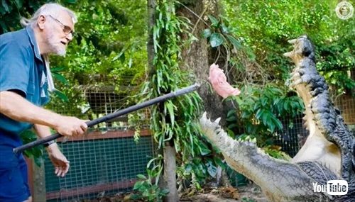 世界最大のワニ