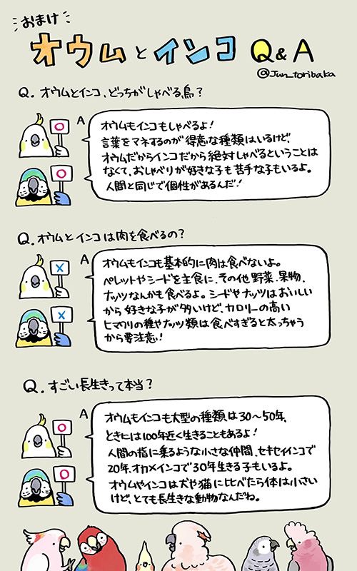 オウムとインコのQ&A