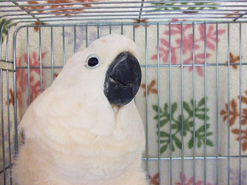 13年前