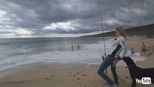 女性に近寄るワンコ