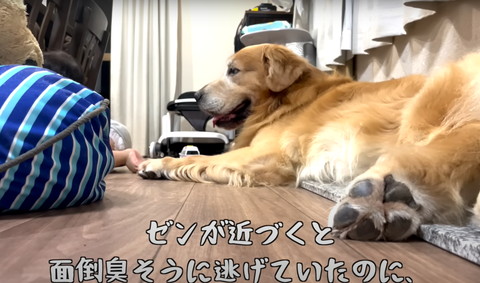 ゼンが近づくとテロップ