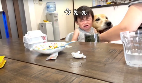 うええテロップ