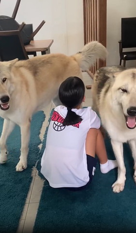 お姉ちゃんを挟んで笑顔のワンコ