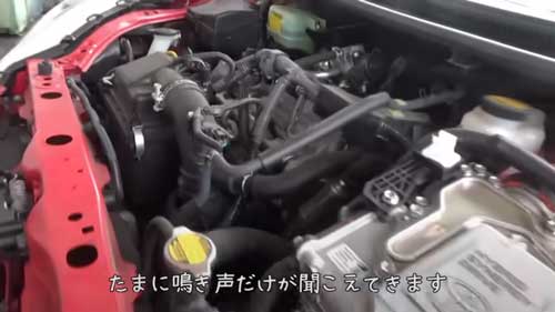 車屋に迷い込んだ子猫