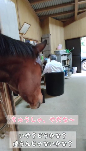 ちゅうしゃやだなテロップ