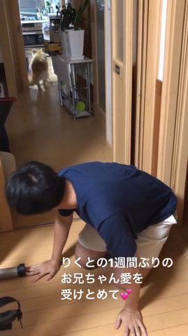 走るワンコ後ろ姿