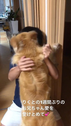 お兄ちゃんに覆いかぶさるワンコ