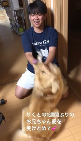 舌だしてぶれてるワンコ