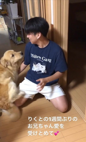 お兄ちゃんを見つめるワンコ