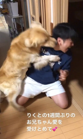 お兄ちゃんの首元に飛びつくワンコ