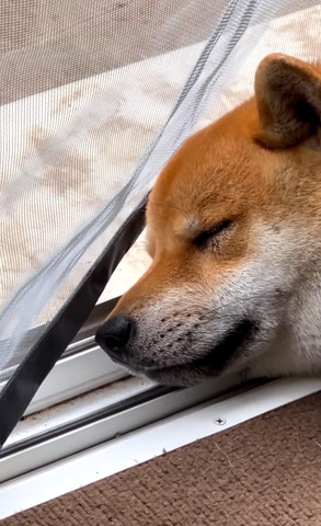 端っこすぎねテロップ