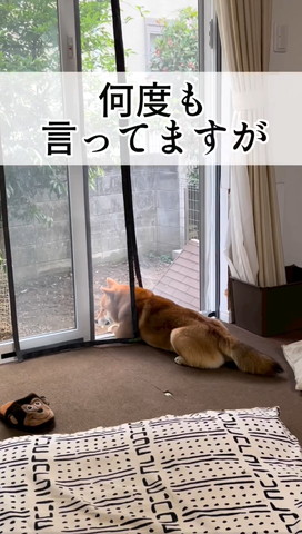 何度も言ってますがテロップ