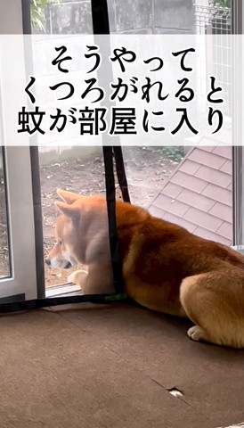 そうやってくつろがれるとテロップ