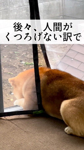 人間がくつろげないわけでテロップ