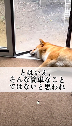 とはいえそんな簡単なことではないテロップ