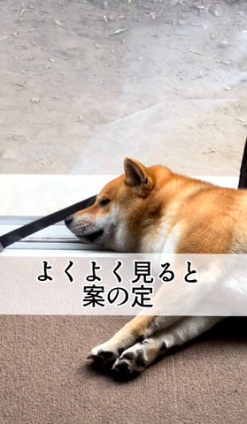 よくよく見ると案の定テロップ