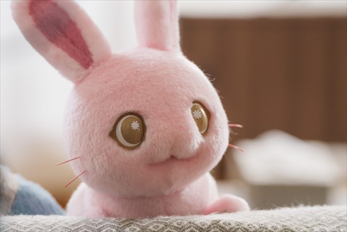 サンリオのキャラクター「ぼさにまる」が実写ドラマ化