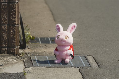 サンリオのキャラクター「ぼさにまる」が実写ドラマ化