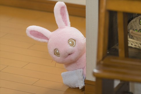 サンリオのキャラクター「ぼさにまる」が実写ドラマ化