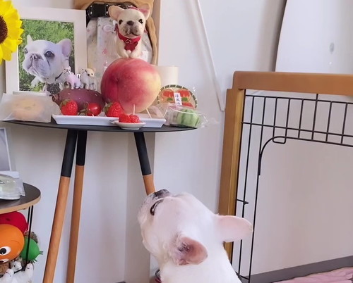 フレブルアップ