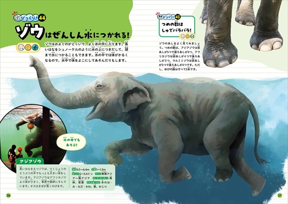 動物のおもしろびっくり行動