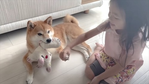 愛犬と娘の5年間