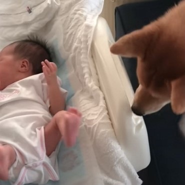 愛犬と娘の5年間