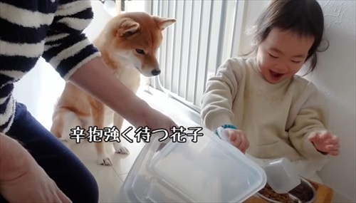 愛犬と娘の5年間