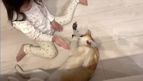 愛犬と娘の5年間