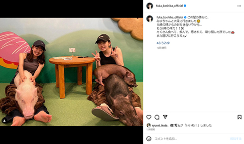 ミニブタカフェでまったり