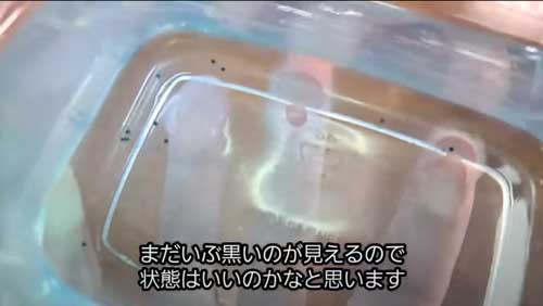 容器にうつした卵