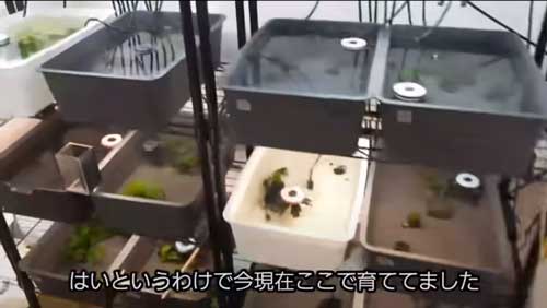 飼育場の画像