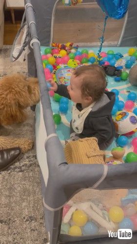 「Baby's Best Friend || ViralHog」