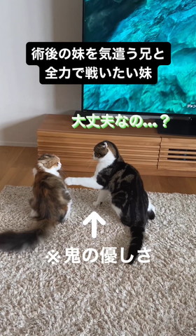 大丈夫なのテロップ