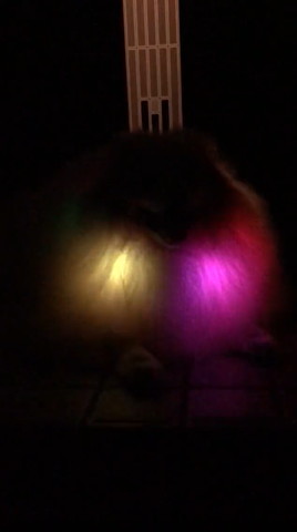 黄色とピンクの光