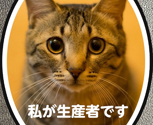 生産者の猫
