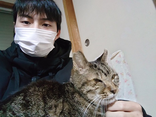 孫と猫