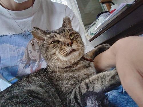 膝の上に乗る