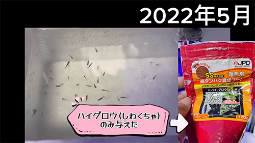 2022年の画像