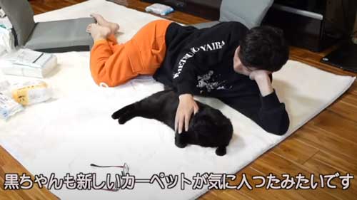 待ったりする黒猫
