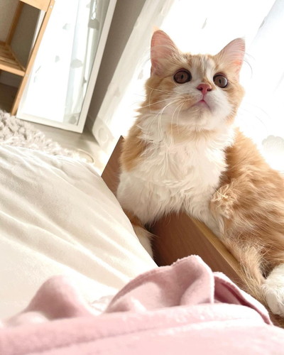 キラキラしたつむくん