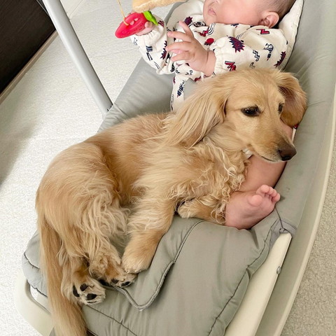 赤ちゃんの足元で寝るワンコ