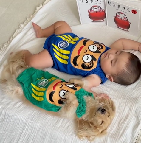 だるまコーデ赤ちゃんとわんこ斜め後ろから